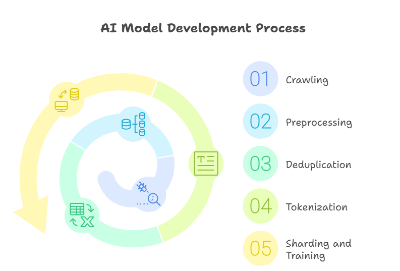 AI model development process diagram showing crawling, preprocessing, deduplication, tokenization, and training.